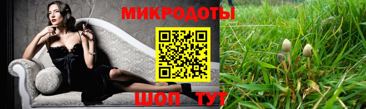 Псилоцибиновые грибы GOLDEN TEACHER Красный Сулин